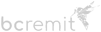 BCRemit logo