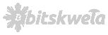 Bitskwela logo
